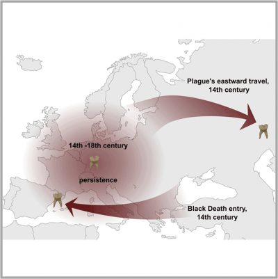 Map shows waves of Black Death plague moving east and west in the 14th century.