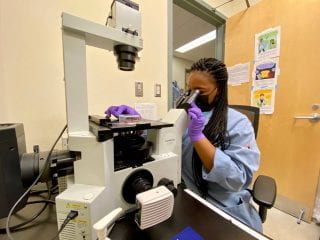 Female student looks through microscope in a lab.