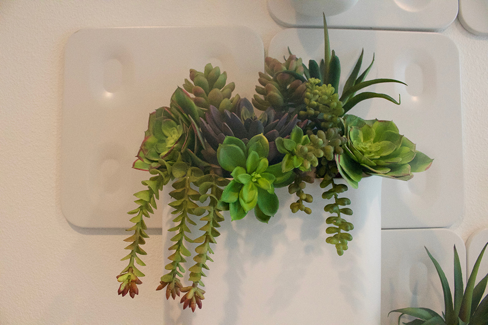 A white wall planter is filled with succulent plants. 